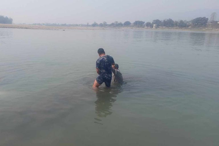 नारायणी नदीमा हामफालेका व्यक्तिको सकुशल उद्धार