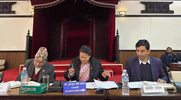डढेलोबाट हुने क्षति न्यूनीकरणको पूर्वतयारी गर्न समितिको निर्देशन