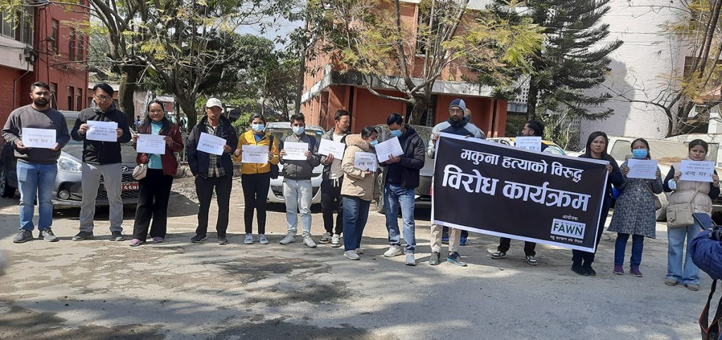 जंगली हात्ती माकुनाको न्यायका लागि प्रदर्शन