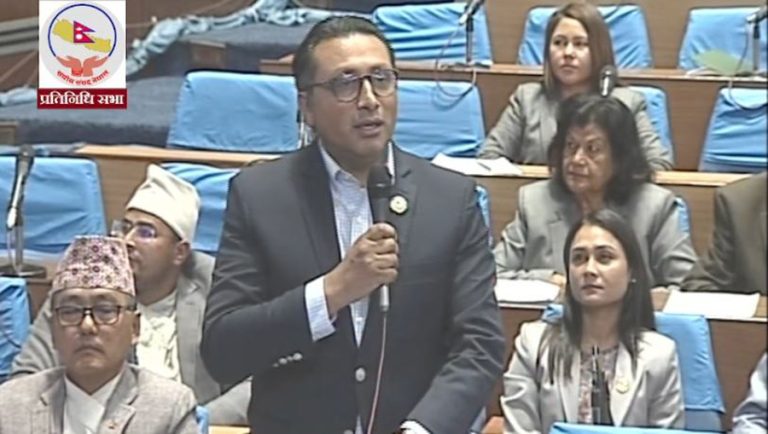 स्वर्णिमले ‘बोलकबोल र गोजीबाट बनाइएका राजदूतहरू’ भनेपछि