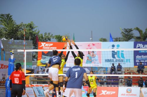 टाइगर कप भलिबल : न्यू डायमण्डलाई हराउँदै आयोजक टोली फाइनलमा