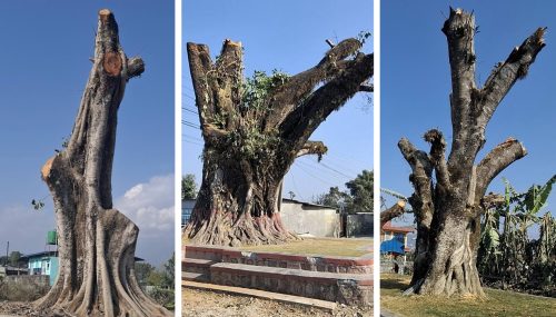 पोखरा महानगरको दाबी : कोटीहोम सञ्चालनका लागि अनुमति दिइएको छैन
