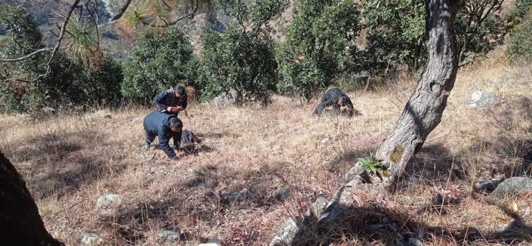 बैतडी घटना : खाना खाँदै गरेका सुरेन्द्रको ढाडमा गोली दागेर हत्या