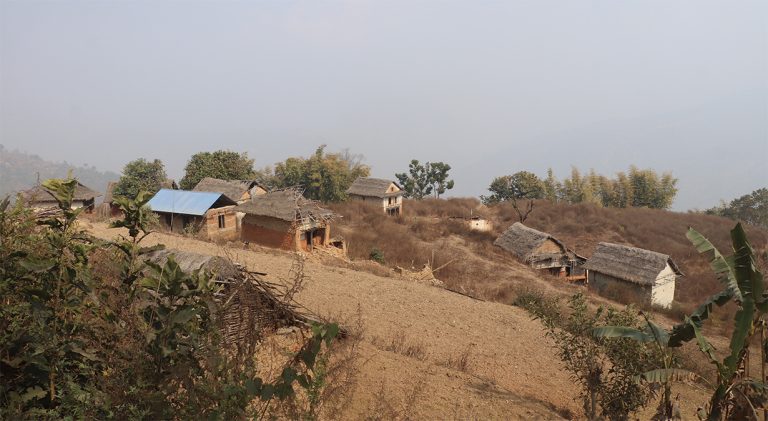 भोजपुरमा बाँदर आतंकले बसाइँसराइ बढ्दा बस्ती नै खण्डहर