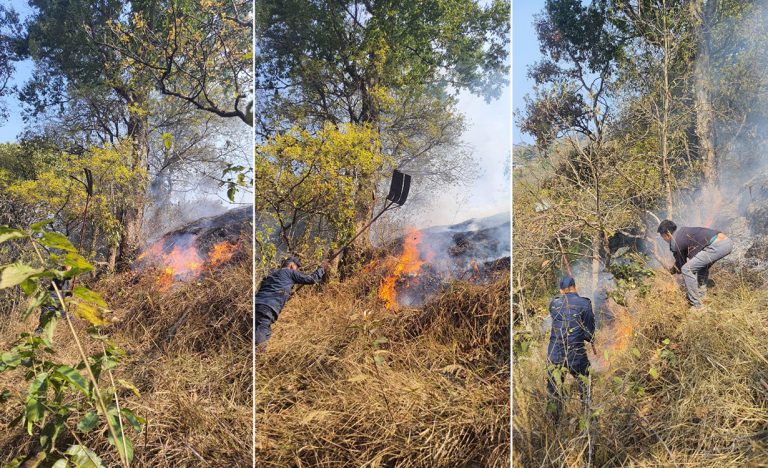 चन्द्रागिरिको केउरानी वनमा आगलागी