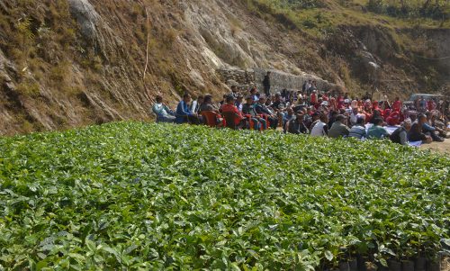 काभ्रेका किसानलाई कफी उत्पादन प्रविधि तालिम