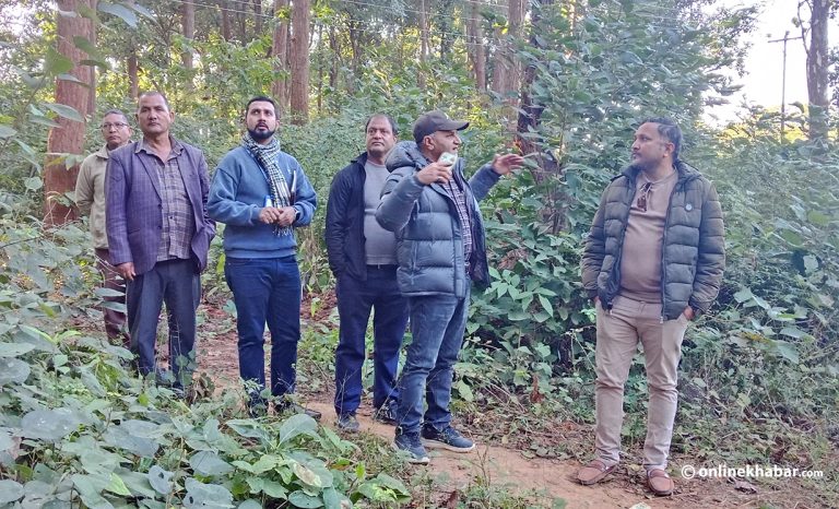 डढेलो रोकथामका लागि दाङ देउखुरीमा सचेतना अभियान