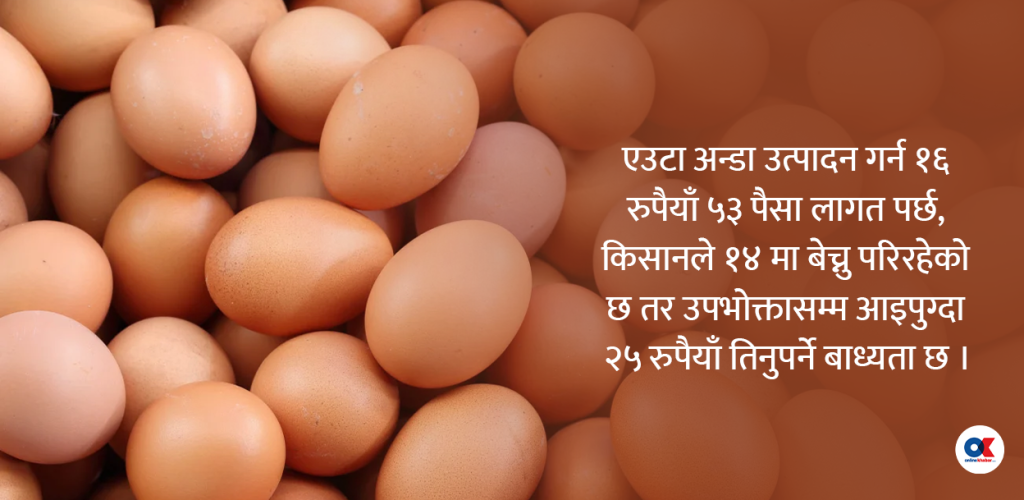 अन्डाको भाउमा किसान र उपभोक्तालाई ‘डन्डा’