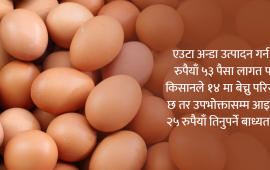 अन्डाको भाउमा किसान र उपभोक्तालाई ‘डन्डा’