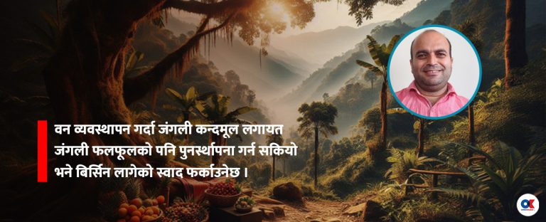 वनका खानेकुरा : भोक, स्वाद, पोषण र नोस्टाल्जिया