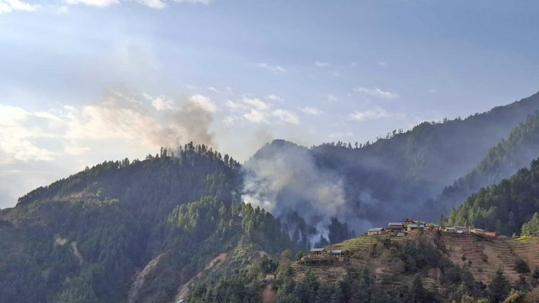 काभ्रे बेथानचोकको गोरखनाथ सामुदायिक वनमा आगलागी