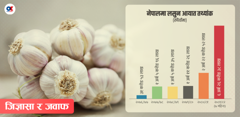 अस्वाभाविक भित्रिएको सवा ६ अर्बको लसुन गयो कहाँ ?