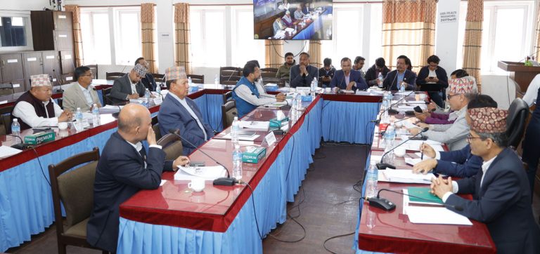 लेखा समितिको उजुरी अध्ययनका लागि बनाइयो सात वटा उपसमिति