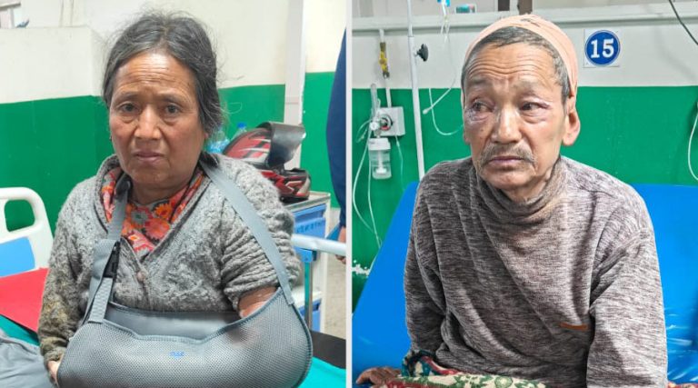 छोराको हत्या आरोपमा मकवानपुरका भ्लोन दम्पती हिरासतमा