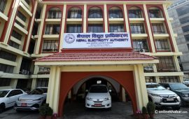 विद्युत् प्राधिकरण बैठक : थप आठ जेनजी शहीदका परिवारलाई रोजगारी दिने निर्णय
