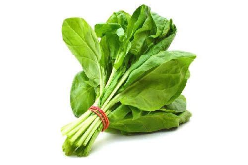 पालुङ्गो, चमसुर र मेथी सागको भाउ उच्च (१०८ तरकारीको मूल्यसूची)