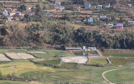 प्युठानमा सडक खन्दा कुलो बन्द, पानी अभावले किसान मर्कामा
