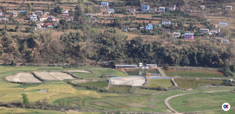 प्युठानमा सडक खन्दा कुलो बन्द, पानी अभावले किसान मर्कामा