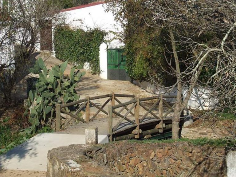 यो हो संसारकै छोटो अन्तर्राष्ट्रिय पुल (भिडियोसहित)