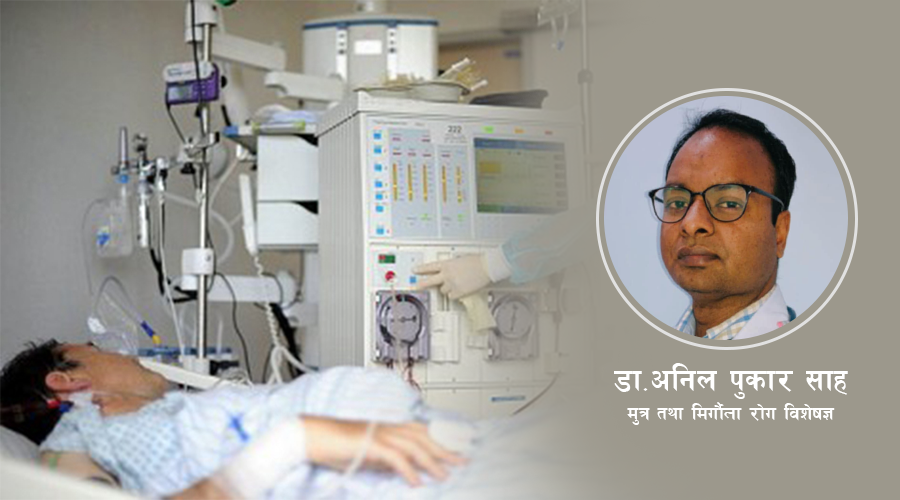 यी कारणले बिग्रिन सक्छ मिर्गौला, कसरी जोगाउने ?