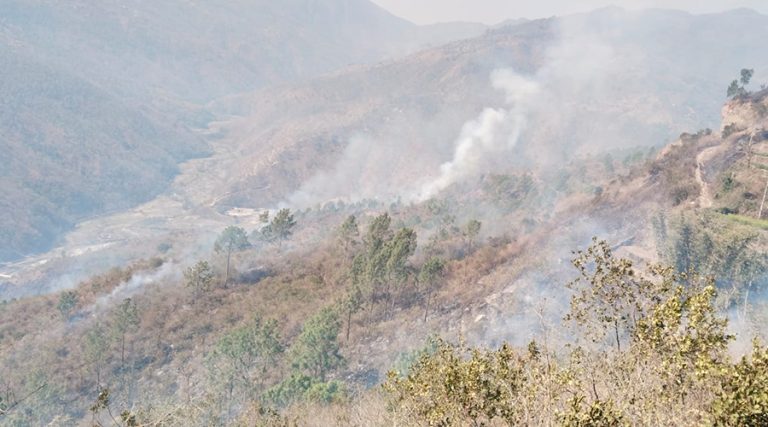 भोजपुरमा सामुदायिक वनको डढेलो बस्तीमा फैलिँदा ८ घर जलेर नष्ट