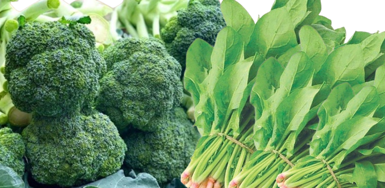 तरकारीसँगै विष, उपभोक्ता स्वास्थ्यमा खेलबाड