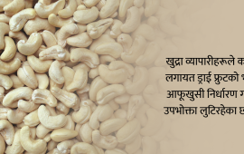 काजुको खुद्रा भाउमा ब्रह्मलुट, किलोकै २९ सयसम्म
