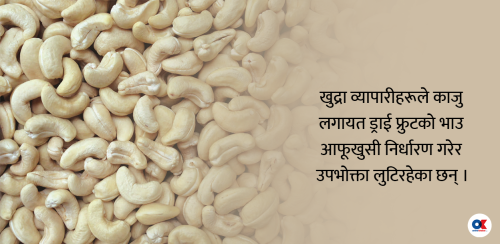 काजुको खुद्रा भाउमा ब्रह्मलुट, किलोकै २९ सयसम्म