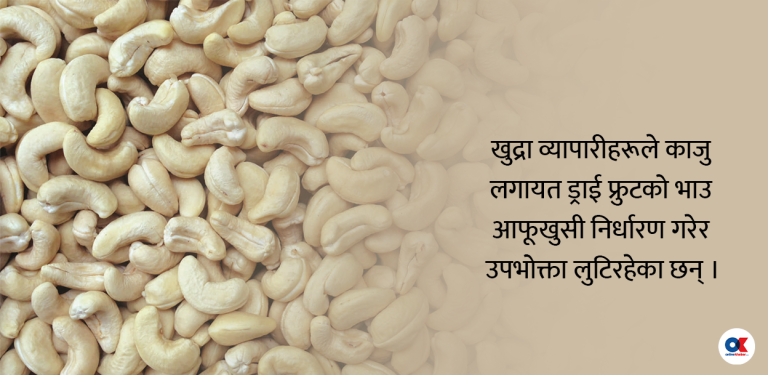 काजुको खुद्रा भाउमा ब्रह्मलुट, किलोकै २९ सयसम्म