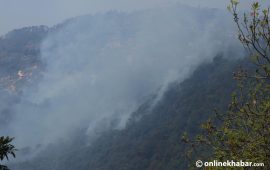 एक महिनामा ५०१ आगलागीका घटना : ६ को मृत्यु, ३८ परिवार विस्थापित   