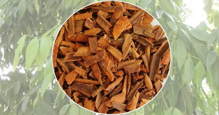 औषधीय गुणले भरिपूर्ण दालचिनी, धेरै खानु हानिकारक