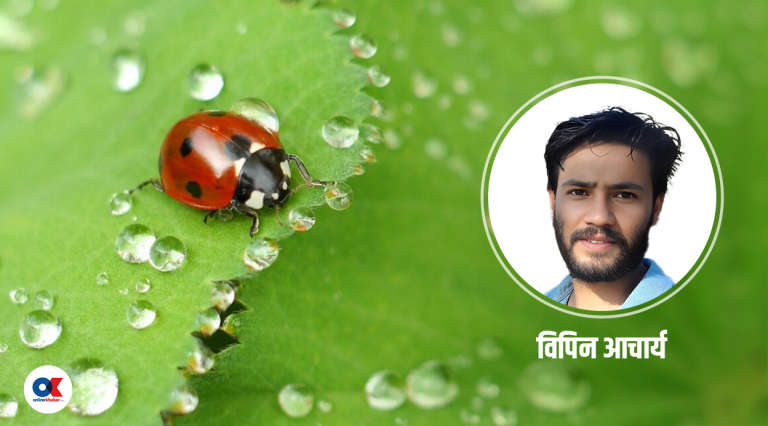 एक ‘स्टुपिड आइडिया’ हरेक वर्ष एक महिना लकडाउन !