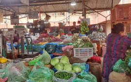 गोलभेंडा, बन्दा, च्याउ, बकुला र काँक्रोको मूल्य घट्यो
