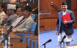 प्रधानमन्त्री फर्किन मानेनन्, प्रतिपक्षी पर्खिन