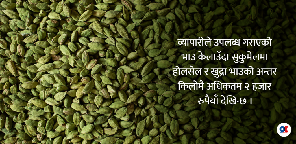 सुकुमेल होलसेलमा किलोको ४५ सय, खुद्रामा किन ६५ सय ?