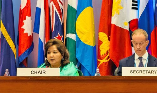 अव्यवस्थित शहरीकरण विश्वमै समस्याः परराष्ट्रमन्त्री राणा