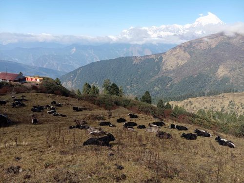 पर्यटकको पर्खाइमा म्याग्दीको बयली