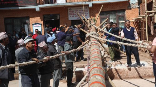 जिब्रो छेड्ने जात्राको पूर्वतयारी : हात नभएको लिङ्गो उठाइयो   