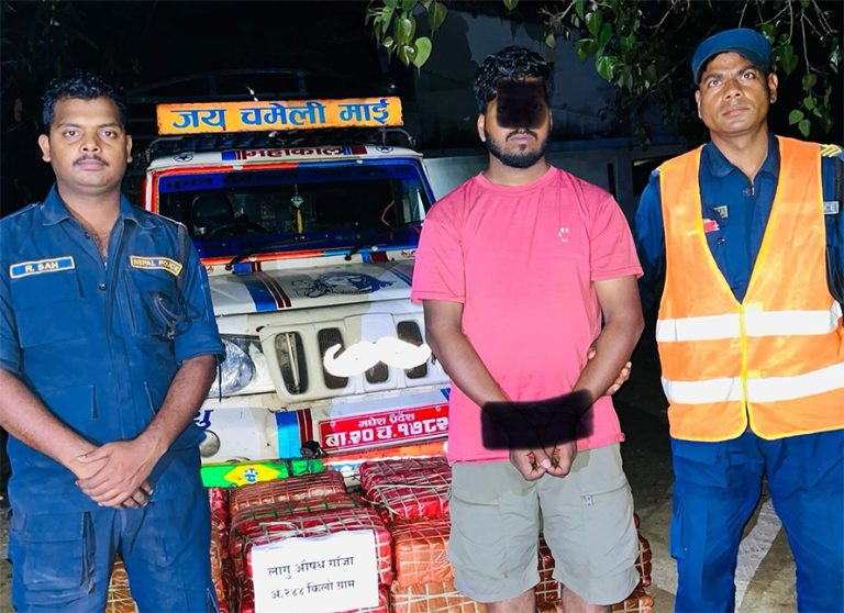 २४४ किलो गाँजासहित १ जना पक्राउ