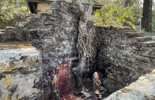 जहाँ देवीलाई चढाइन्छ दाम्लो