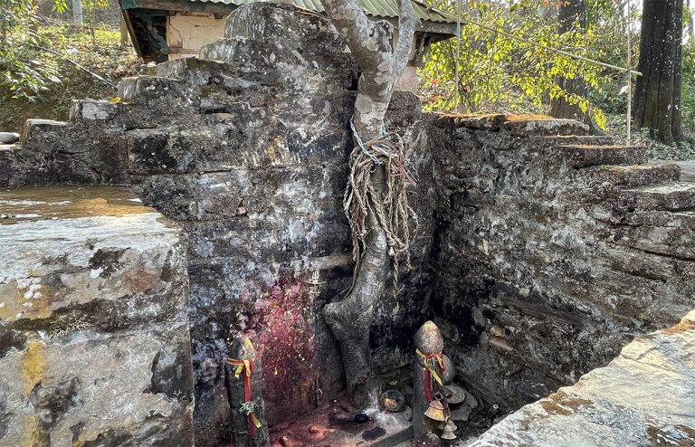 जहाँ देवीलाई चढाइन्छ दाम्लो