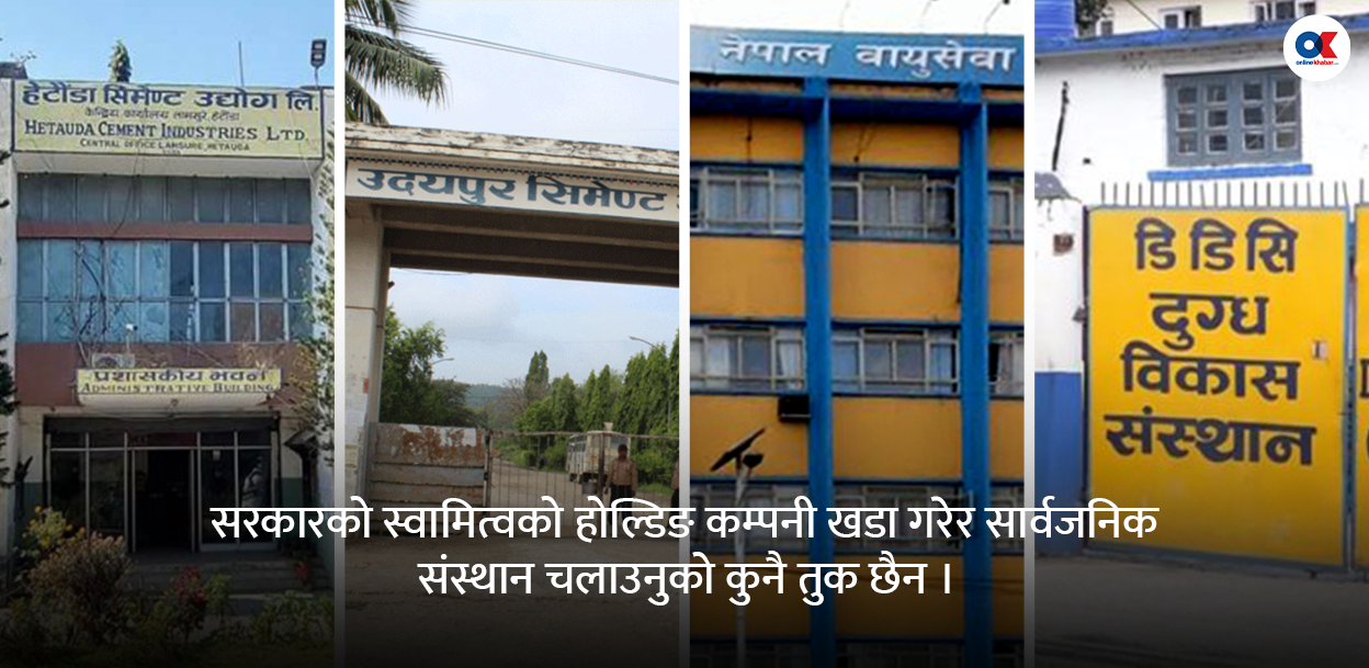 ‘होल्डिङ कम्पनी’ मातहत सार्वजनिक संस्थान : तावाबाट झरेर भुङ्ग्रोमा