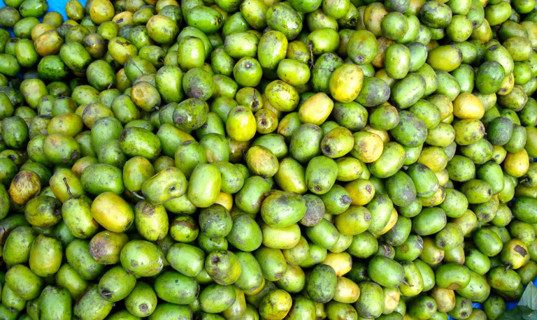 कतिमा किन्न पाइन्छ लप्सी ?