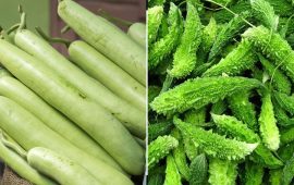 करेला र लौकाको मूल्य घट्यो