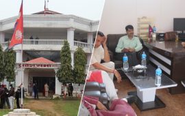 अटेरी मधेश सरकार, निरीह संसदीय समिति