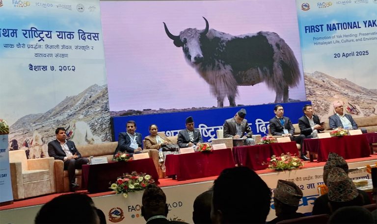 घटिरहेछ याक, संरक्षणमा सरकारको बल्ल चासो