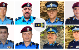 ६ महिनापछिको नेतृत्व जोडिएपछि एआईजी बढुवामा रस्साकस्सी