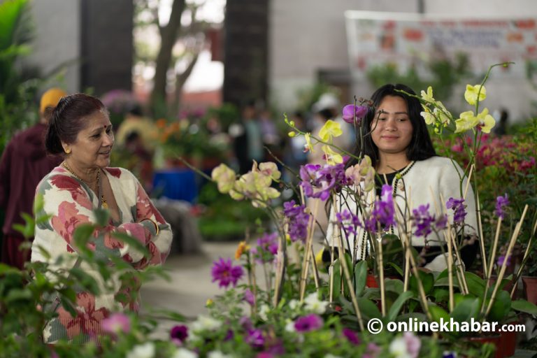 ‘नेसनल हर्टिकल्चर एक्स्पो’ सुरु, फलफूलदेखि जडीबुटीसम्मको नर्सरी प्रर्दशनी