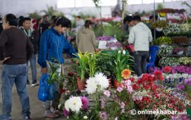 भृकुटीमण्डपमा तेस्रो ‘नेसनल हर्टिकल्चर एक्स्पो’ हुँदै