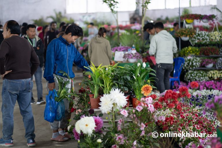 भृकुटीमण्डपमा तेस्रो ‘नेसनल हर्टिकल्चर एक्स्पो’ हुँदै